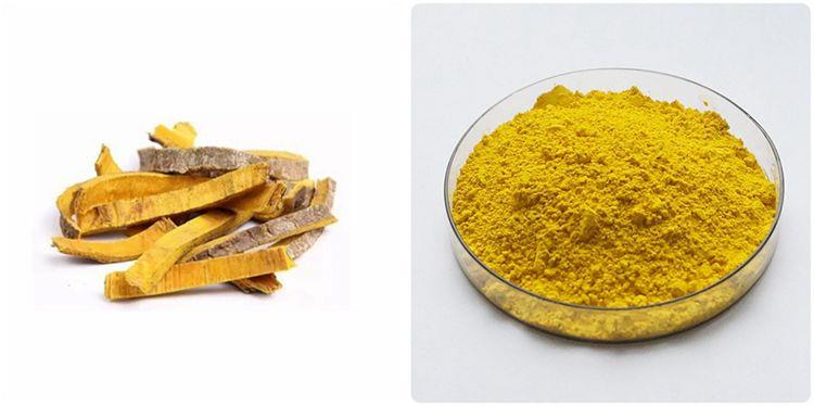 Berberine Capsules