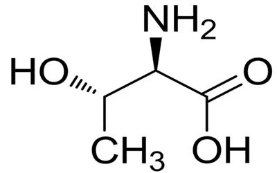 threonine threonine