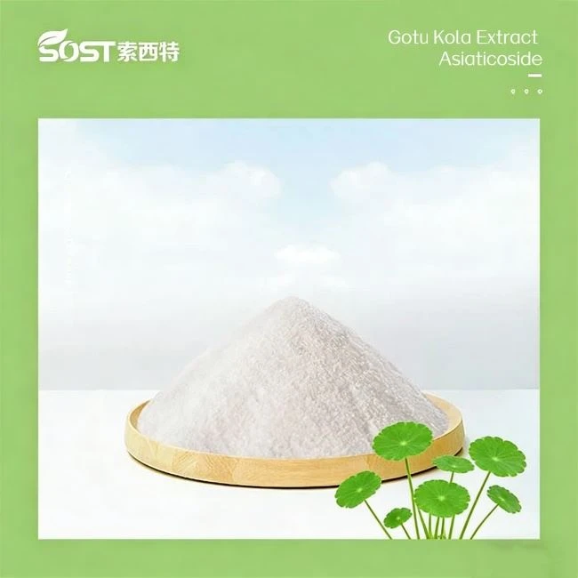 Gotu Kola Extract Asiaticoside