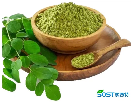 moringa powder 2 moringa powder 2