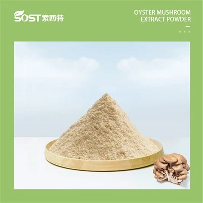 Oyster MMUARTRE DAIM HMOOV