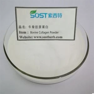 Hydrolyzed Bovine Collagen Hmoov