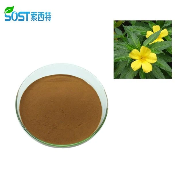 Damiana Leaf Herbal Extract Powder for sex boost