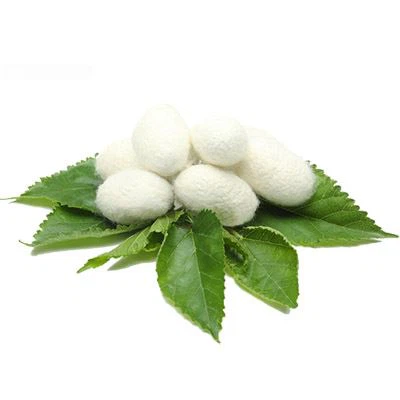 silk fibroin protein powder