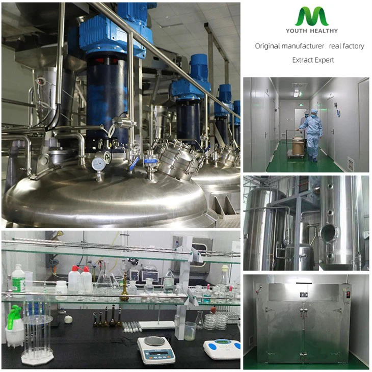 Pure Moringa Leaf Powder