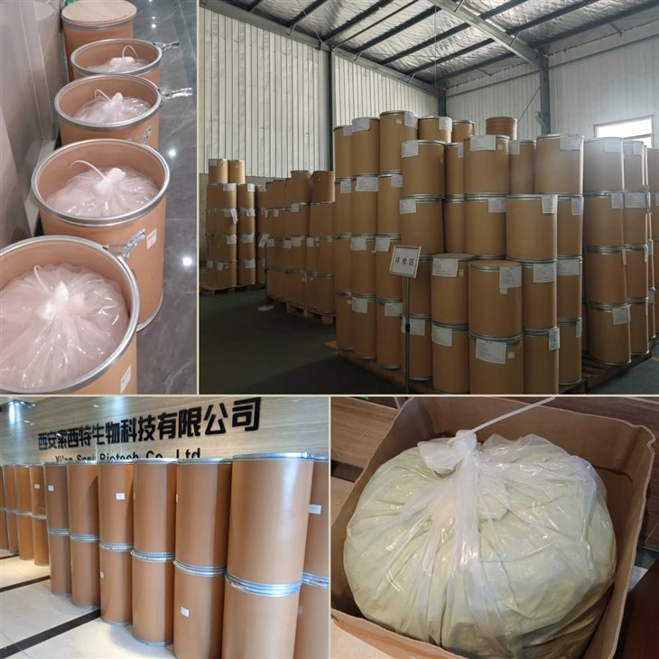 Coenzyme Q10 Bulk Powder high quality